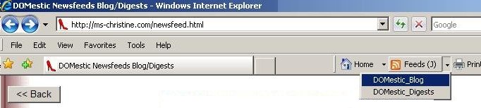 Internet Explorer